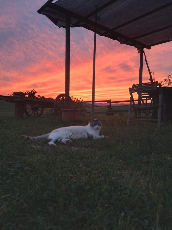 Agriturismo Enjoy Sunset Cinigiano Kültér fotó